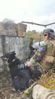 Захисні балістичні окуляри ESS ICE Захисні балістичні окуляри ESS ICE