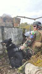 Захисні балістичні окуляри ESS ICE